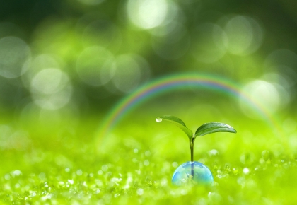 【新聞報導】科建顧問 強化企業低碳競爭力